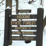 Entering Hocking Forest